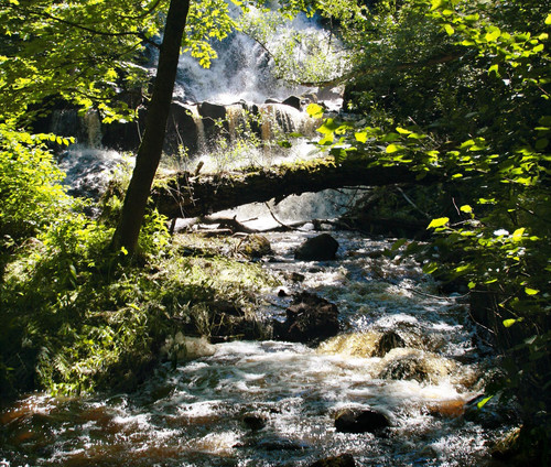 Foto: Kerstin Jonsson