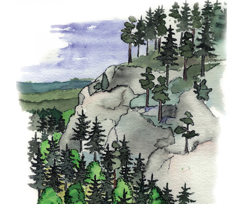 Längs bergsbranter lämnas en skyddszon med träd som beskuggning för mossor och annan känslig vegetation.