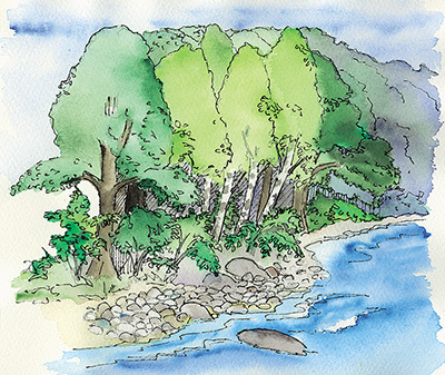 Skog vid strand illustration