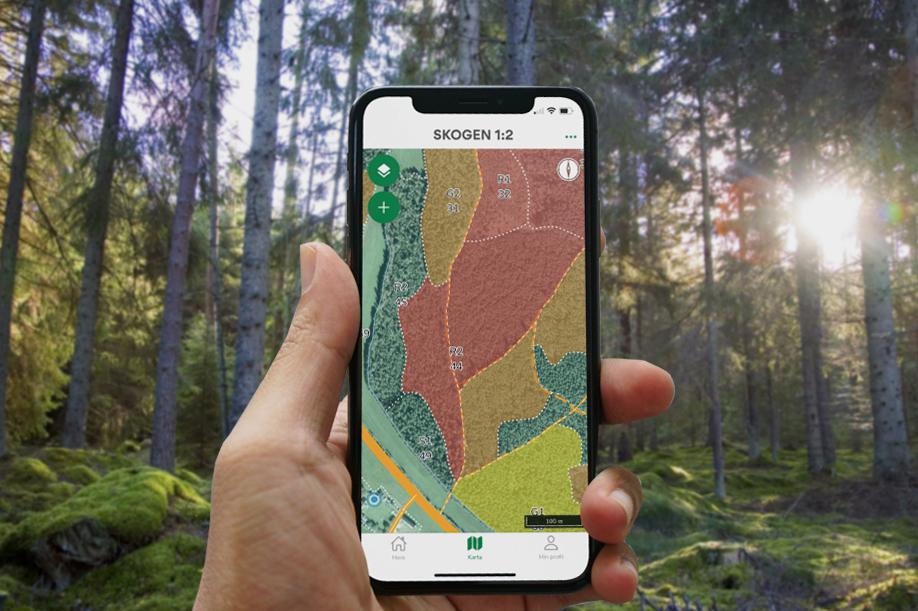 Sydveds app med skogsbruksplan