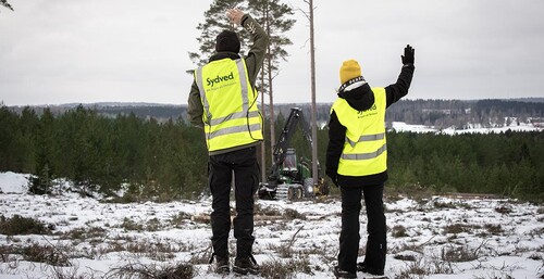 Foto: Anna Hållams