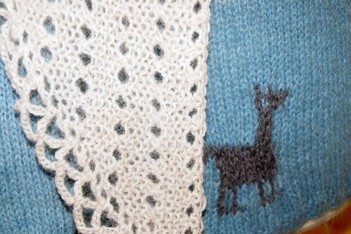 På Hintzegrådens säteri finns 28 alpackor – makarna Sternerup köpte sina första avelsdjur 1995. Bakgrunden var Birgittas intresse för handarbete.