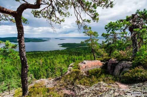 Utsikt i Skuleskogen. Foto Klaus Steinkamp.