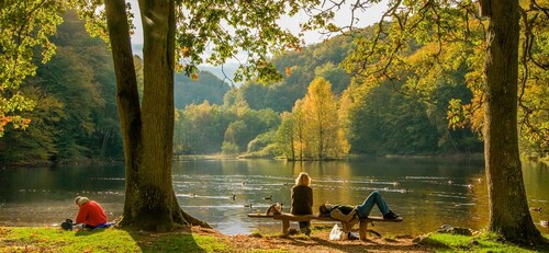 Njut av lummiga lövskogar i Söderåsen! 
Foto: Peter Johnsen.