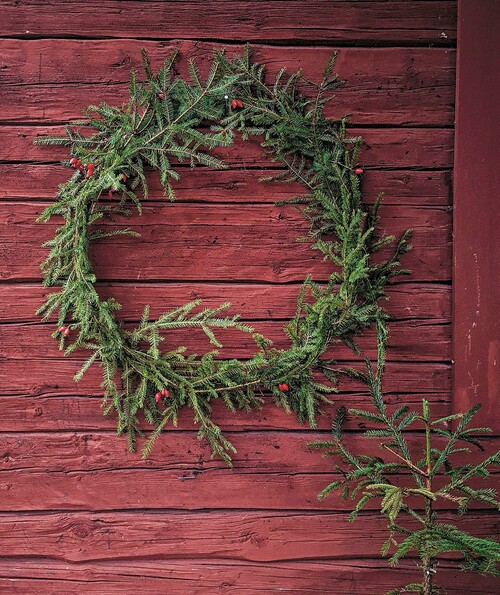 Testa och gör en enkel grankrans. För en mer stabil krans eller krona kan det krävas en stomme att bygga på. Det kan vara en vidja av tunnare sly.