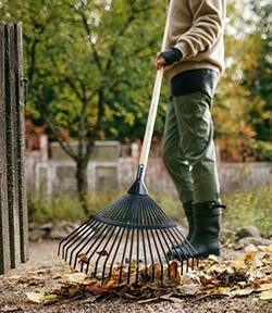 Lövräfsa med 44 cm brett blad. Perfekt för att snabbt och enkelt
samla löv och trädgårdsavfall. Fiskars, 399 kr på granngarden.se