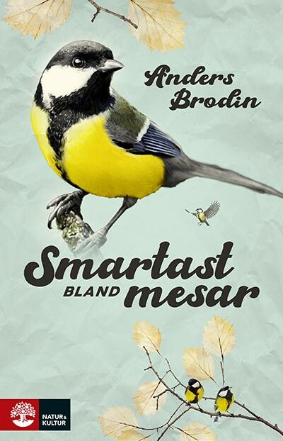 Boken