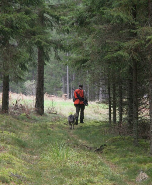 Och så vitt jag vet, så går han där ännu ...