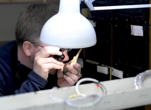 Ruggningen kontrolleras och fågeln åldersbestäms. Utifrån en skala värderas hur välgödd den är och fågeln vägs.