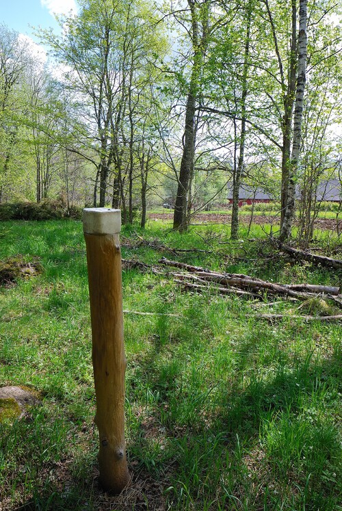 Foder, skydd, saltsten och vatten. Försök att samla viltvårdsinsatserna för bästa effekt.