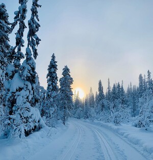 Foto: Annsofie Öhman