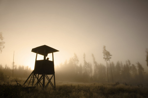 Foto: Emma Fredriksson