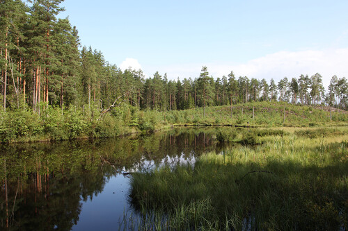 På sin fastighet har Mattias skapat 6 hektar våtmark.