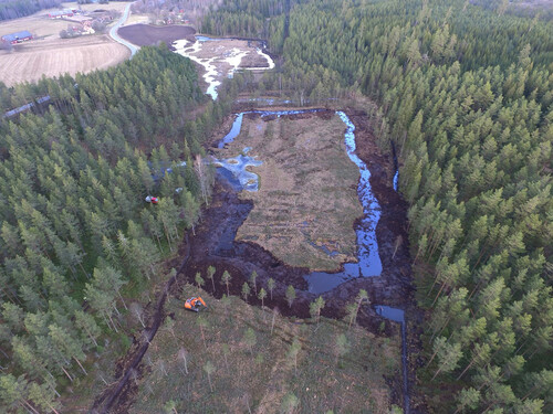 Så här såg våtmarken ut när den var nyanlagd…