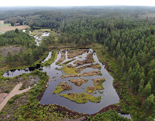 … och så här ser den ut fem år senare.