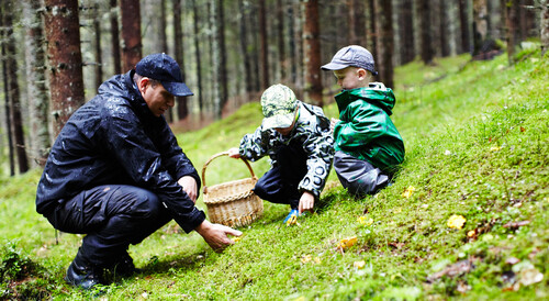 Foto: Sara Landstedt