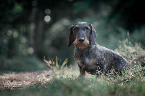Tax 
Foto: Adobe Stock