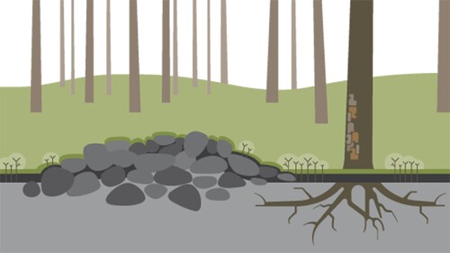 I skogsmark är det ibland svårt att upptäcka odlingsrösena, då man bara ser de översta stenarna.