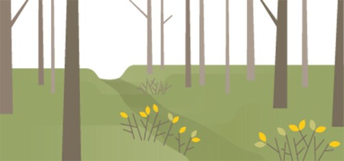 En hålväg; där har en forntida väg gått