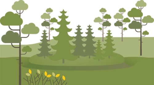 Kolbotten avgränsas ofta med ett dike.