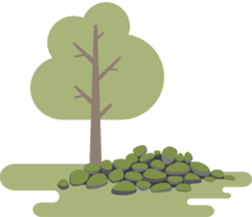 Ett odlingsröse ovan jord.