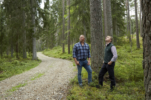 Skogsägaren Markus Svensson tillsammans med Sydvedare Daniel Axelsson som har förtroendet i familjen Svenssons skog.