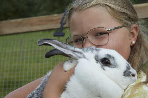 Nellie och Sockervadd.