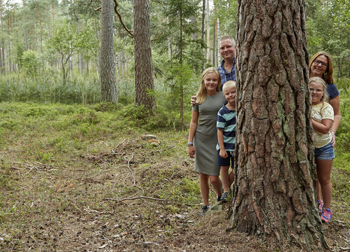 De 250-åriga tallarna har familjen Svensson sparat i generationer. Bara för att de är vackra. Felicia, pappa Markus, Linus och på andra sidan stammen mamma Sara och Nellie.