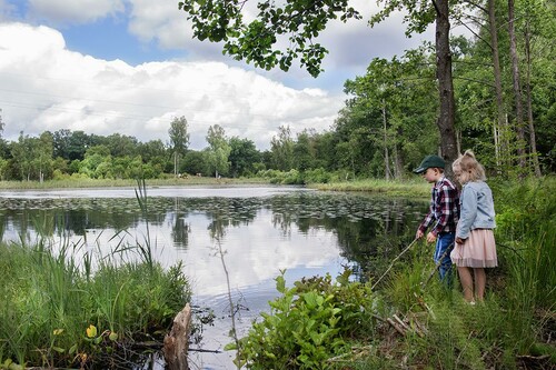 Malva och Malte tar sig an skogen på sitt sätt. Nyfikna och med mycket spring i benen, men att de gillar att leka i skogen finns det ingen tvekan om!