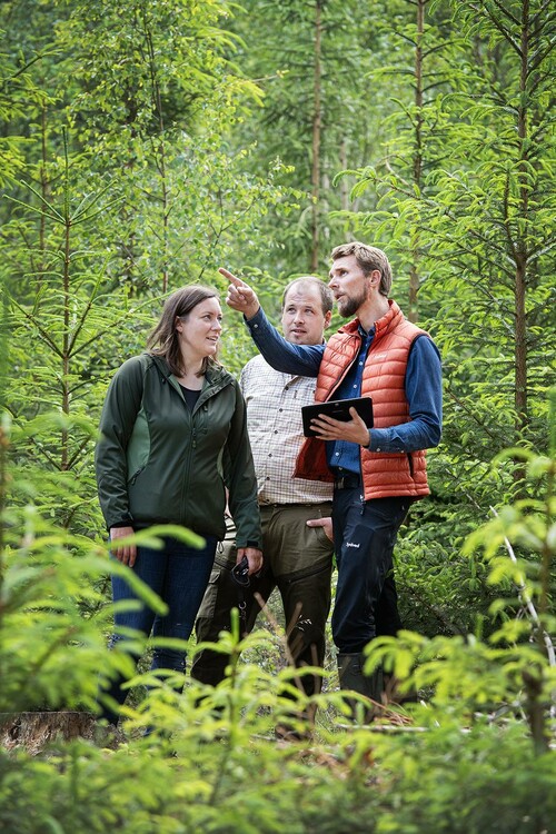 Virkesköparen André Gustavsson diskuterar skogliga åtgärder med Gustav och Malin. I det här granbeståndet, som är väldigt eftersatt, behöver de jobba i kapp med röjningar och gallringar.