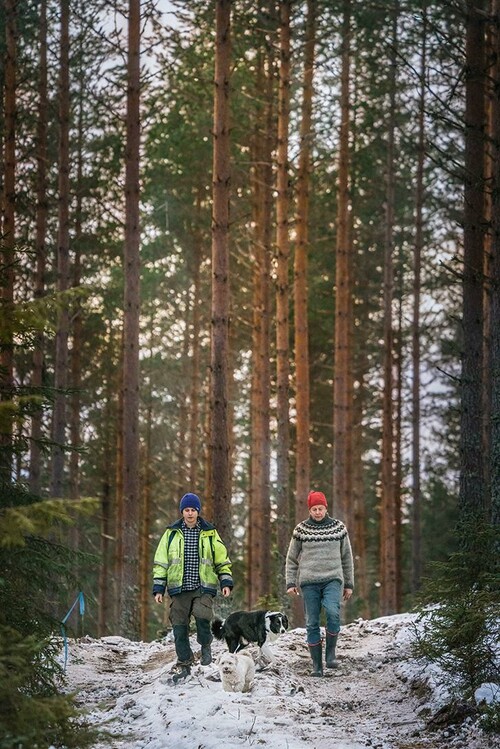 Två personer och två hundar går i skog