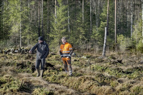 Att underhållsdika befintliga diken och lägga i nya trummor är en av de bästa tillväxthöjande åtgärderna man kan göra, konstaterar Sydvedare Anders Persson. Nu växer det så det knakar i granplanteringen intill.