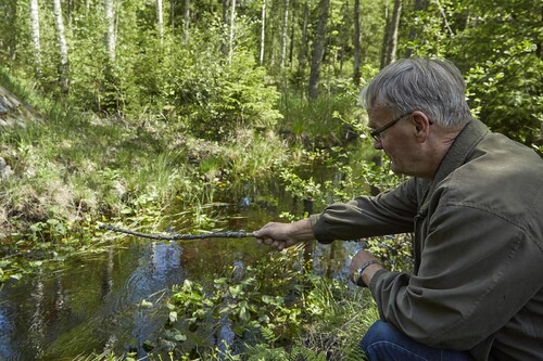 Konsten att snärja en gädda i Bjurbäcken har behärskats av många generationer, Bengt är förstås inget undantag.