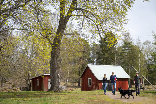 Kontinuitet i skogen: Malin är sjätte och Thomas är femte generationen skogsägare och Anton Jeansson är tredje generationen Sydvedare i Helgesbo.