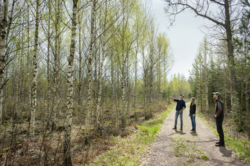 Gudrun jämnade ett hektar gran med marken. ”Jag blev förtvivlad när jag kom ut på morgonen. Tack och lov blev det inte värre än så”, berättar Thomas som satsade på björk istället