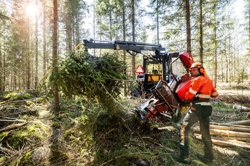 Thomas jobbar med ett Hypro-aggregat kopplat till traktorn. När trädet är fällt vinschar han in det, och kvistar och apterar i aggregatet. Med kranen samlar han ihop riset och använder det för att risa vägen och skydda rötterna.