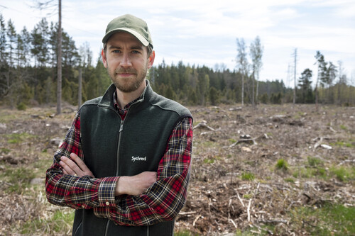 Anton Jeansson är familjen Holmströms skogliga bollplank. Just nu planerar han för en slutavverkning.
