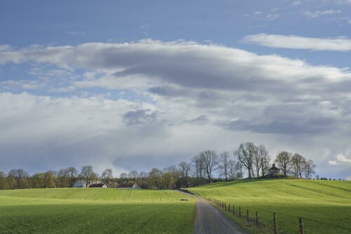 Bilväg som sträcker sig över grön äng mot gården Ölanda säteri.