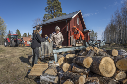 Katarina får hjälp med vedklyvning av sonen Magnus och barnbarnet Alva.