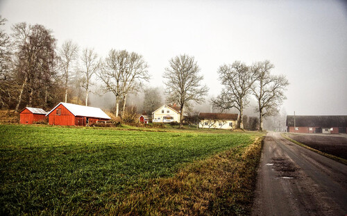 Mattias och Therese köpte det avstyckade boningshuset för fem år sedan och njuter av det stadsnära livet på landet.