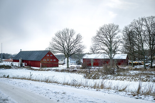 Vekerums gård drivs i dag av Jonas storebror Linus.
