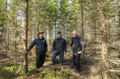 Förstagallringen är en härlig utmaning då skördar- och skotarföraren i samråd med skogsägare och inköpare får möjlighet att dana beståndet. Skördarförare Alexander Gärdeborg, skogsägare Håkan Gustavsson och skotarförare Lasse Karlsson är nöjda med resultatet.