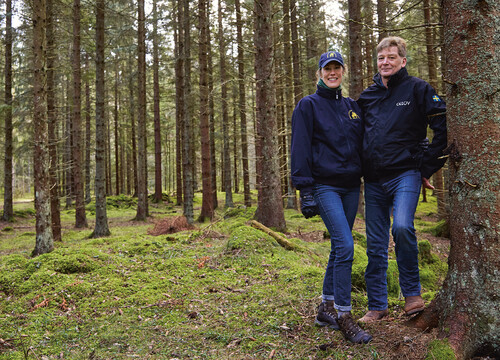 Anna och Lasse överhåller inte granskogen utan väljer att föryngra enligt plan, när skogen är mogen. Just det här beståndet kommer att föryngringsavverkas så fort vädret tillåter.