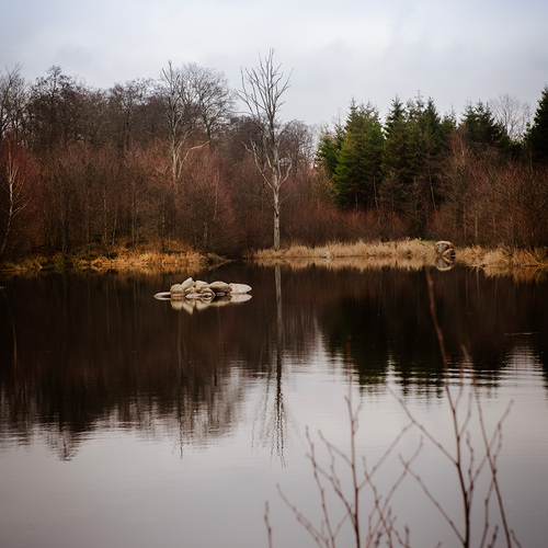 Ola och Veronica har skapat en vattenspegel på sin mark, till gagn inte minst för djurlivet.