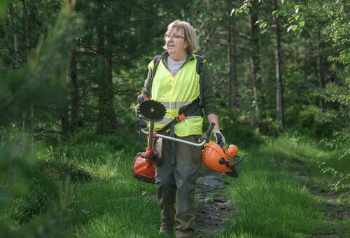 Elisabeth köper skogliga tjänster som gallring och föryngringsavverkning, men gör all planering själv. Hon gillar att experimentera och har planer på att plantera hälften gran och hälften lärk.