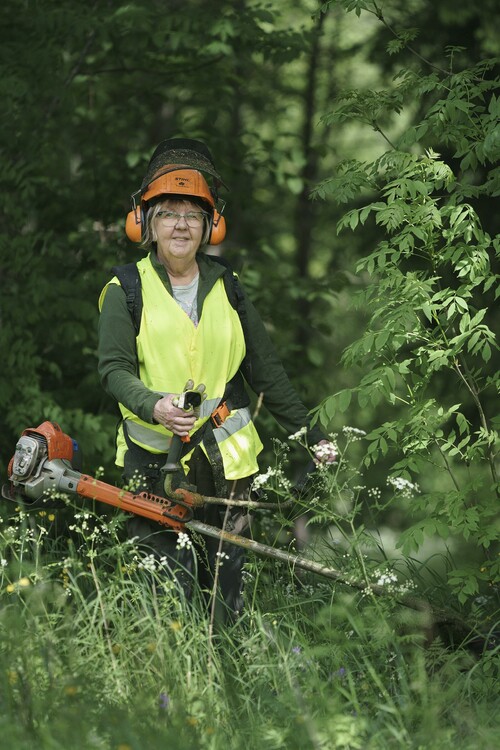 – Jag har bra koll på min skog, känner mig trygg att kunna råda mig själv, säger skogsägaren Elisabeth Sander.