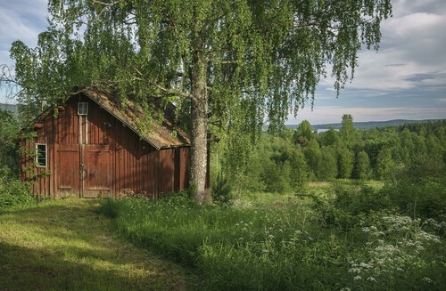 Elisabeth kunde ingenting om skogen när hon tog över sin pappas gård 1997. Men hon har gått många kurser i skogsbruk och fått många nya idéer.