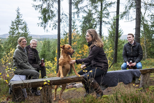 En gång var Heligås beskogat av ekar och så ska det bli igen. Granen som har planterats på fel ståndort ska ersättas av en ekskog – och utsikten från familjen Claessons favoritplats kommer att förändras rejält.