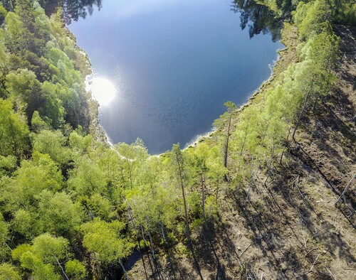 Lövrika kantzoner är ofta de mest gynnsamma för livet i vattnet. Lövträd ger skugga som håller ner temperaturen i vattendrag.