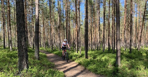 Du får cykla både i naturen och på enskilda vägar. Men med moderna terrängcyklar som tar sig fram i terräng som man förr alls inte kunde cykla i, blir ansvaret större för den som idag cyklar i skogen.